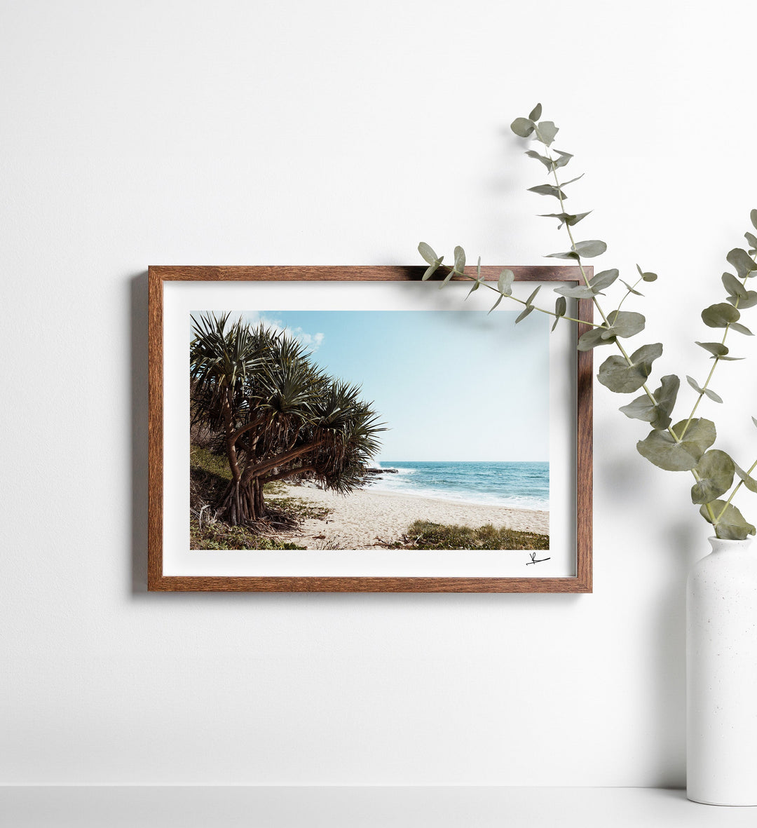 Angourie Point Beach - Wall Art Print - Australia Unseen