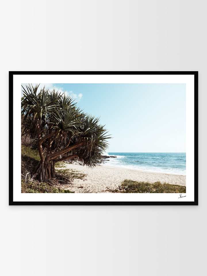 Angourie Point Beach - Wall Art Print - Australia Unseen