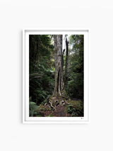 Blue Mountains 01 - Grand Canyon - Wall Art Print