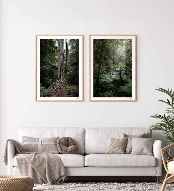 Blue Mountains 01 - Grand Canyon - Wall Art Print - Australia Unseen