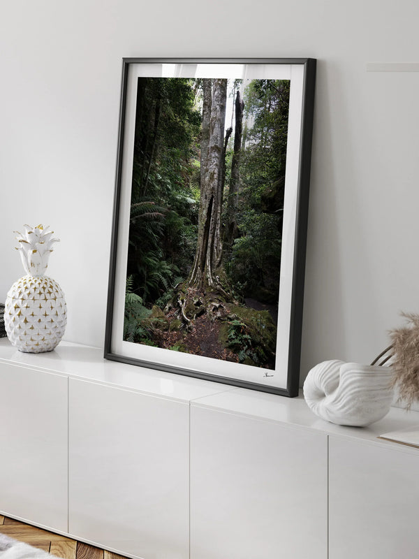Blue Mountains 01 - Grand Canyon - Wall Art Print - Australia Unseen