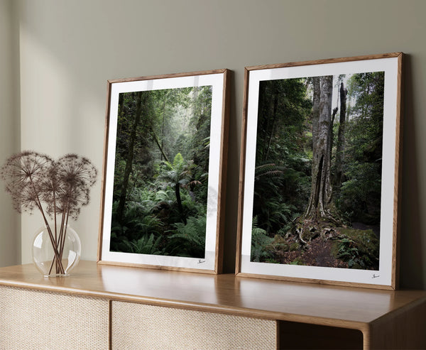 Blue Mountains 01 - Grand Canyon - Wall Art Print - Australia Unseen
