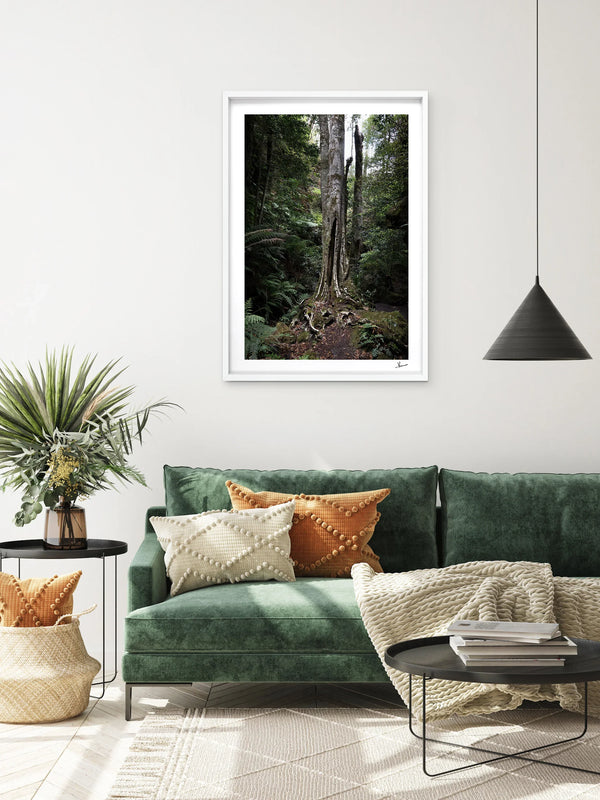 Blue Mountains 01 - Grand Canyon - Wall Art Print - Australia Unseen