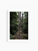 Blue Mountains 01 - Grand Canyon - Wall Art Print