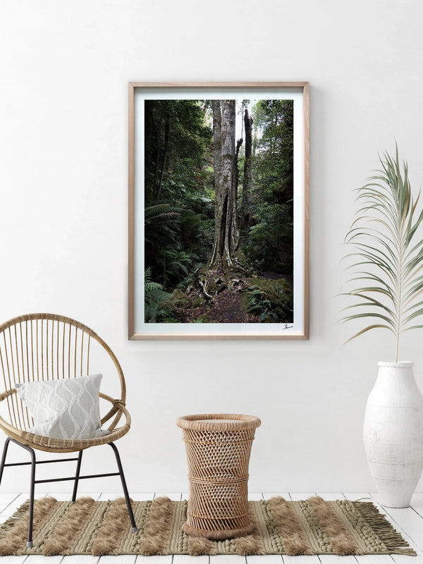 Blue Mountains 01 - Grand Canyon - Wall Art Print - Australia Unseen