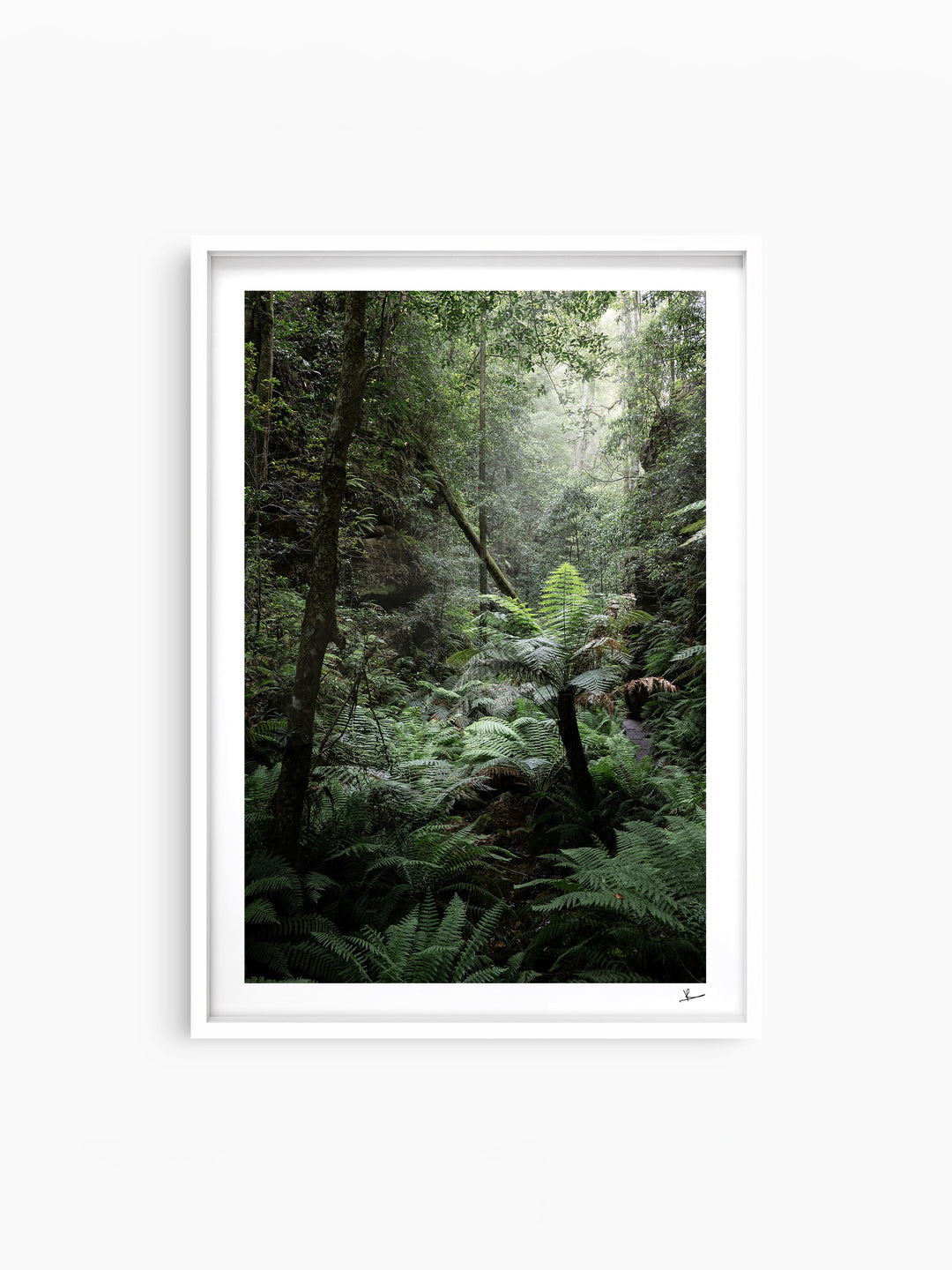 Blue Mountains 02 - Grand Canyon - Wall Art Print - Australia Unseen