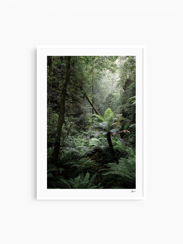 Blue Mountains 02 - Grand Canyon - Wall Art Print - Australia Unseen