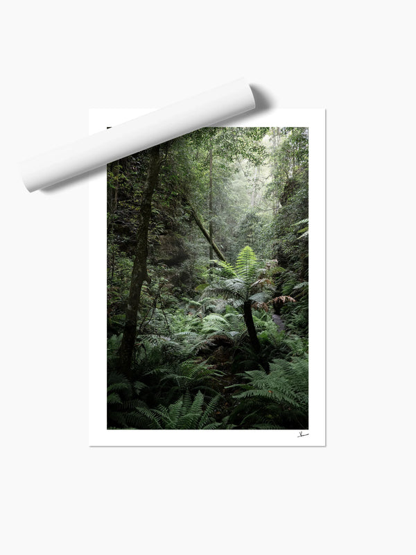 Blue Mountains 02 - Grand Canyon - Wall Art Print - Australia Unseen