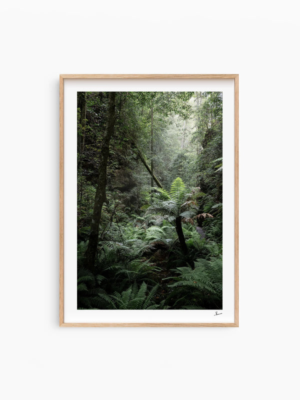Blue Mountains 02 - Grand Canyon - Wall Art Print - Australia Unseen
