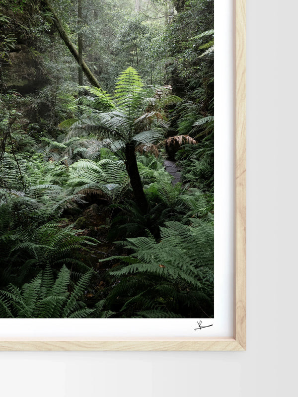 Blue Mountains 02 - Grand Canyon - Wall Art Print - Australia Unseen