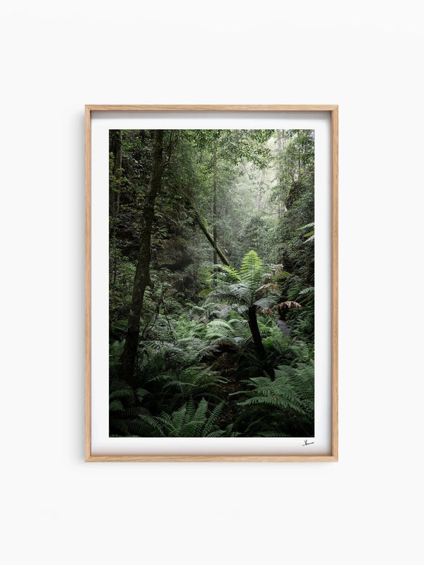 Blue Mountains 02 - Grand Canyon - Wall Art Print - Australia Unseen