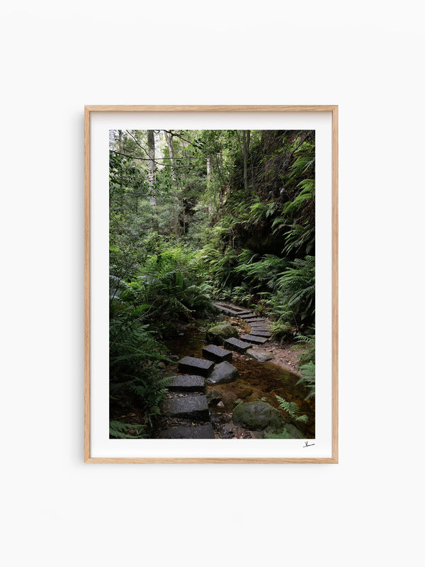 Blue Mountains 03 - Grand Canyon - Wall Art Print - Australia Unseen