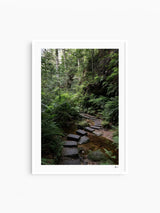 Blue Mountains 03 - Grand Canyon - Wall Art Print