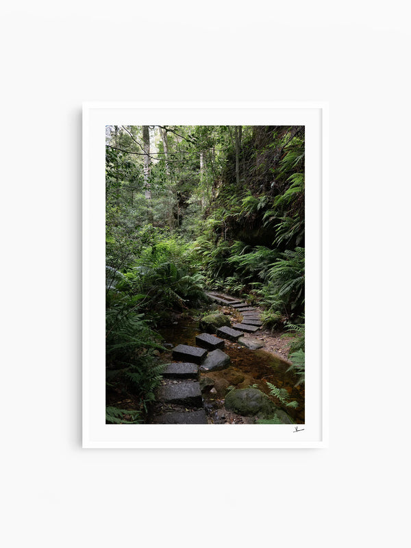 Blue Mountains 03 - Grand Canyon - Wall Art Print - Australia Unseen