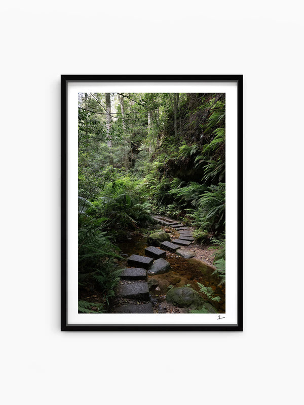 Blue Mountains 03 - Grand Canyon - Wall Art Print - Australia Unseen
