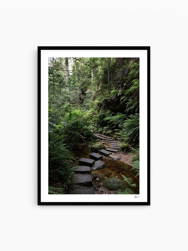 Blue Mountains 03 - Grand Canyon - Wall Art Print - Australia Unseen