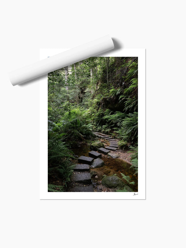 Blue Mountains 03 - Grand Canyon - Wall Art Print - Australia Unseen