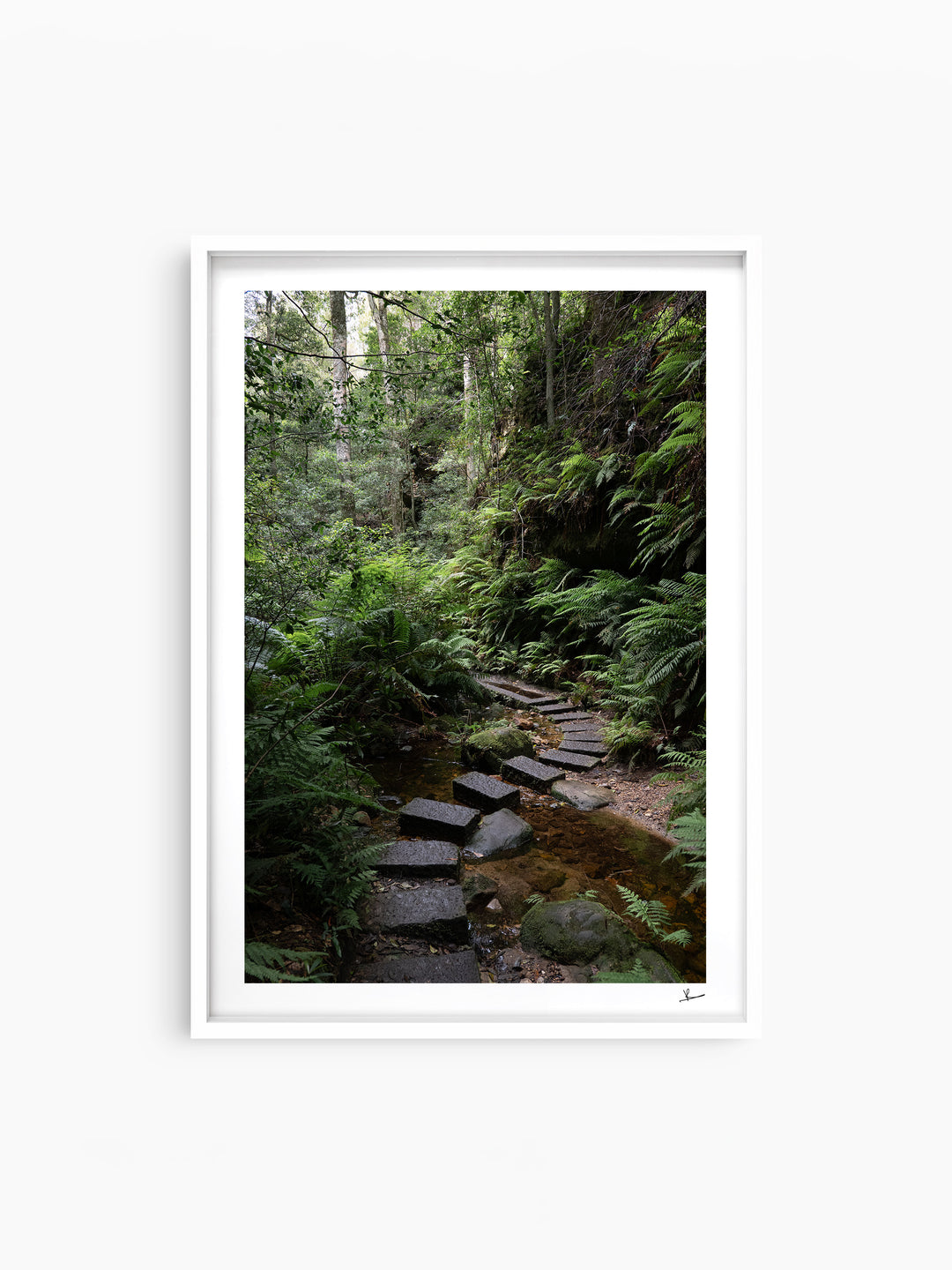 Blue Mountains 03 - Grand Canyon - Wall Art Print - Australia Unseen
