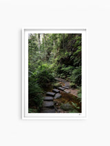 Blue Mountains 03 - Grand Canyon - Wall Art Print