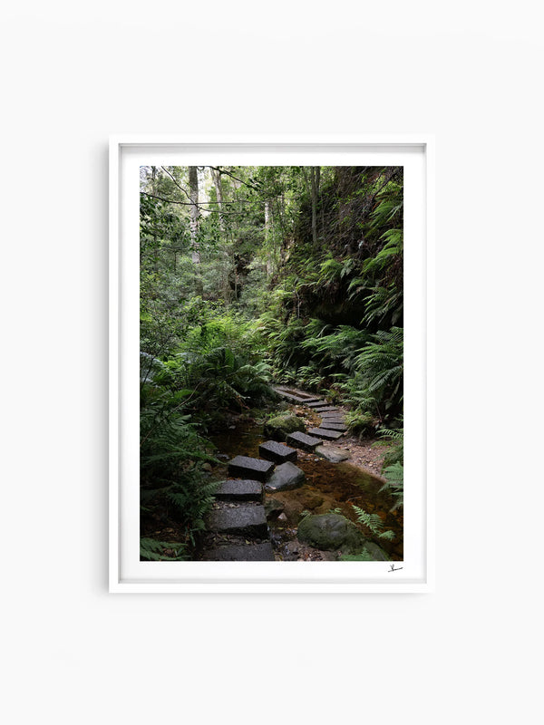 Blue Mountains 03 - Grand Canyon - Wall Art Print - Australia Unseen