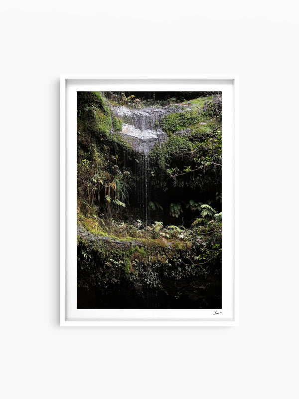 Blue Mountains 04 - Waterfall - Wall Art Print - Australia Unseen