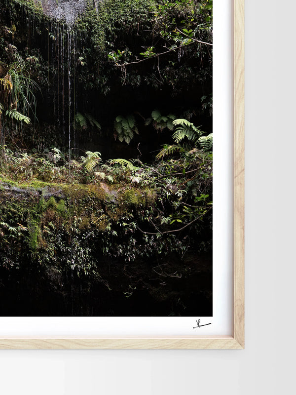 Blue Mountains 04 - Waterfall - Wall Art Print - Australia Unseen