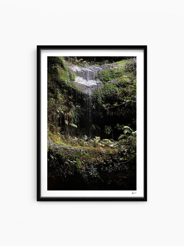 Blue Mountains 04 - Waterfall - Wall Art Print - Australia Unseen