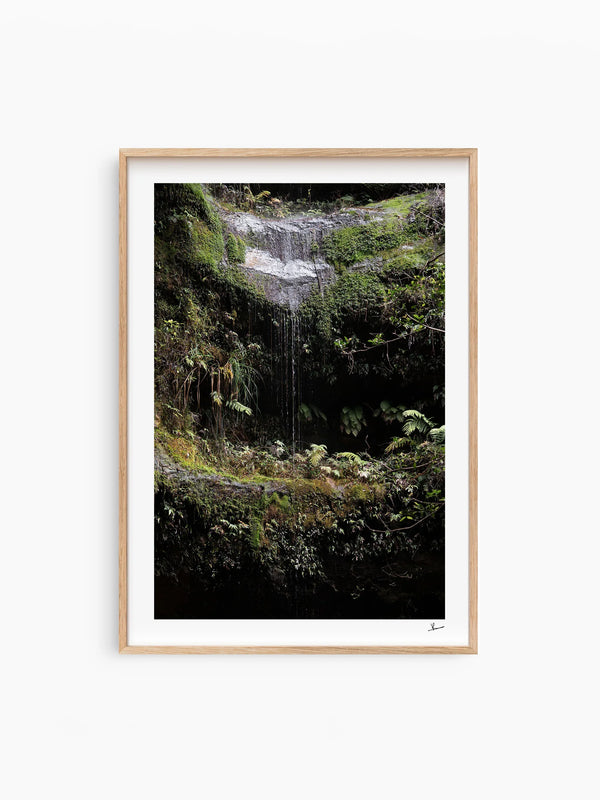 Blue Mountains 04 - Waterfall - Wall Art Print - Australia Unseen