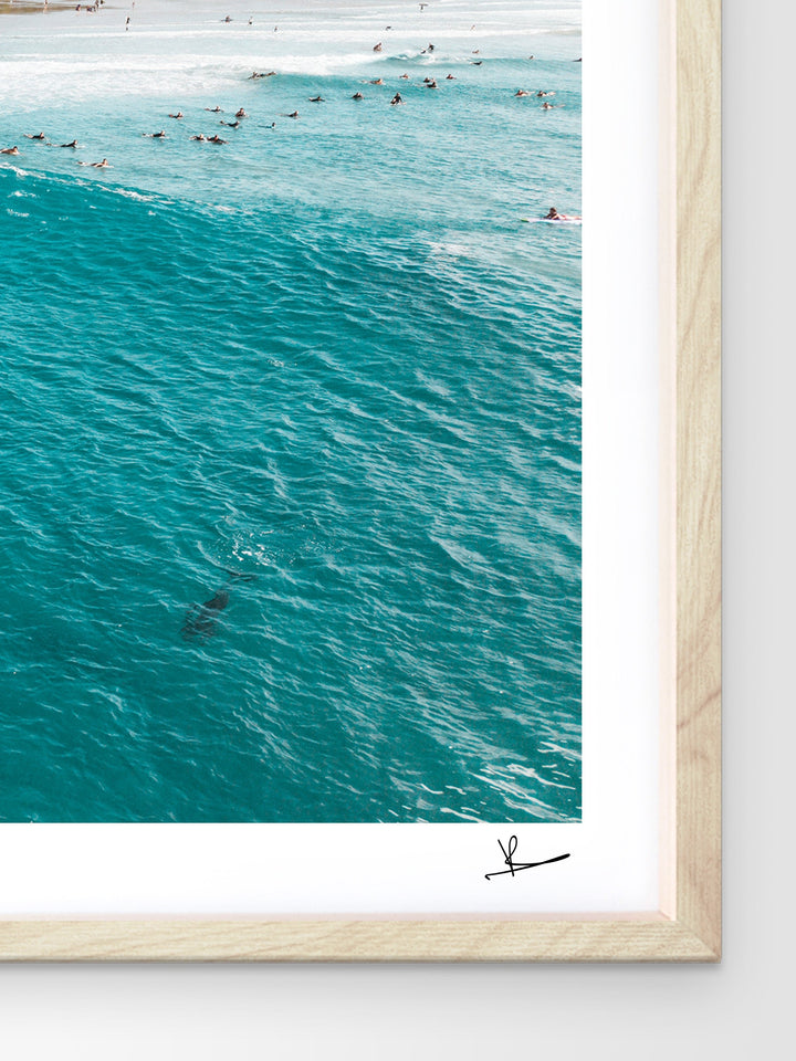 Byron Bay - The Pass 07 (with dolphins) - Wall Art Print - Australia Unseen