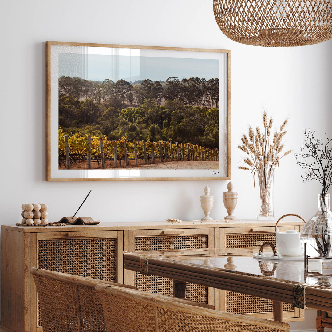 Cape Mentelle Winery 01 - Wall Art Print - Australia Unseen