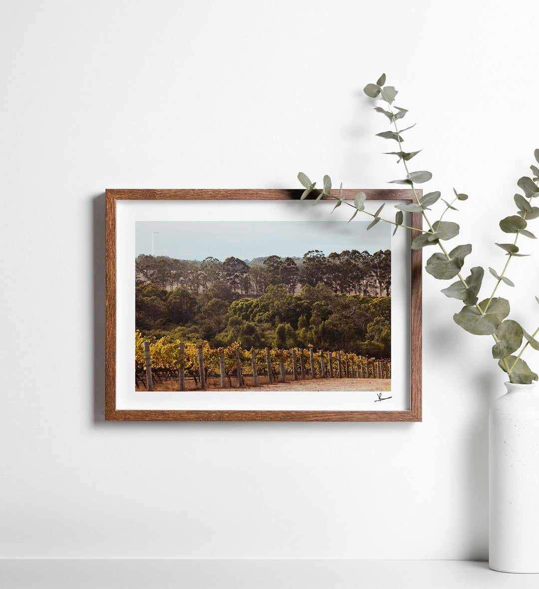 Cape Mentelle Winery 01 - Wall Art Print - Australia Unseen