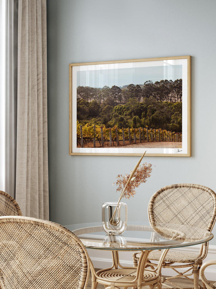 Cape Mentelle Winery 01 - Wall Art Print - Australia Unseen
