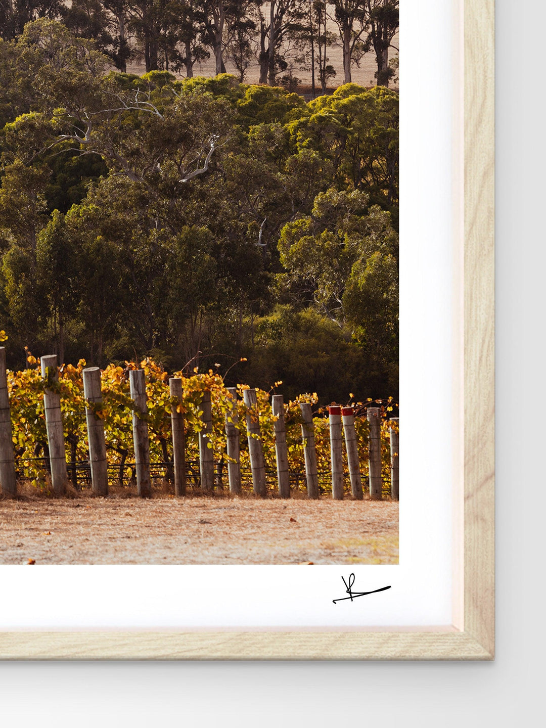 Cape Mentelle Winery 01 - Wall Art Print - Australia Unseen