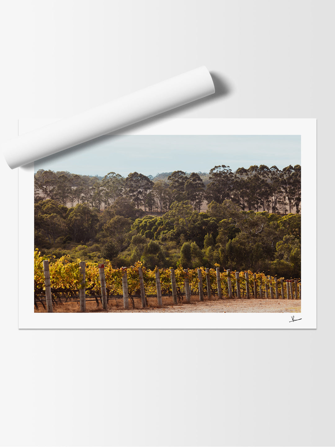 Cape Mentelle Winery 01 - Wall Art Print - Australia Unseen