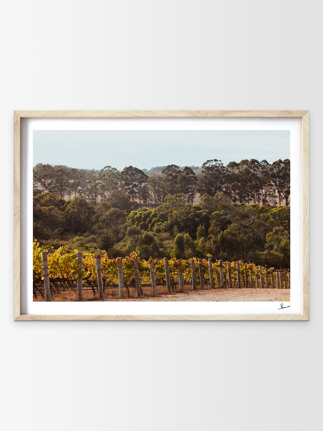 Cape Mentelle Winery 01 - Wall Art Print - Australia Unseen