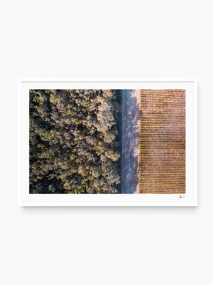 Cape Mentelle Winery 02 - Wall Art Print - Australia Unseen