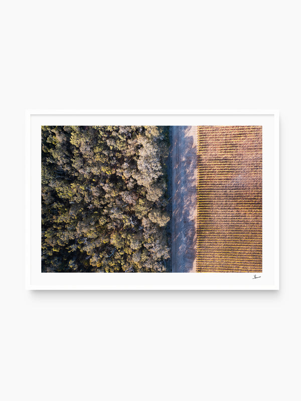 Cape Mentelle Winery 02 - Wall Art Print - Australia Unseen