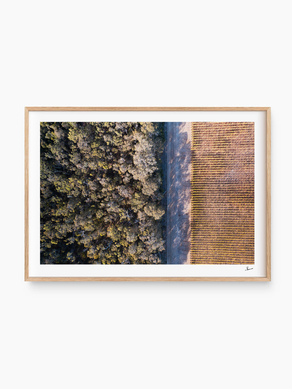 Cape Mentelle Winery 02 - Wall Art Print - Australia Unseen