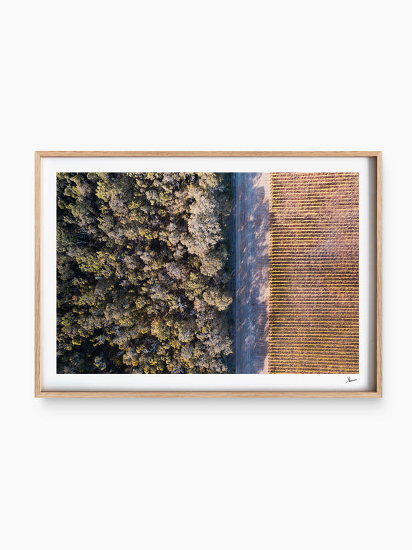 Cape Mentelle Winery 02 - Wall Art Print - Australia Unseen