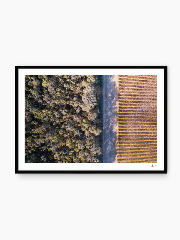 Cape Mentelle Winery 02 - Wall Art Print - Australia Unseen