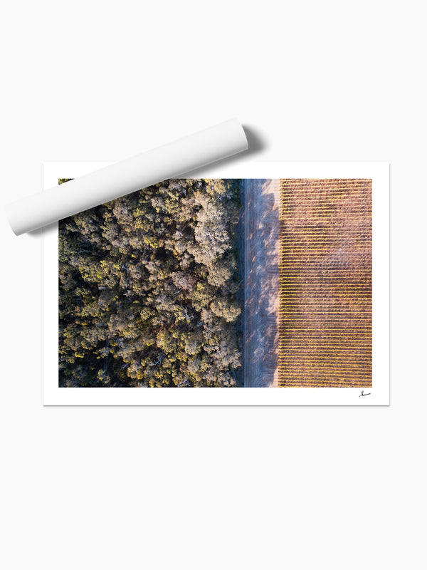 Cape Mentelle Winery 02 - Wall Art Print - Australia Unseen