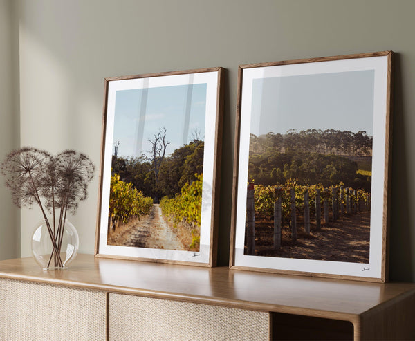 Cape Mentelle Winery 03 - Wall Art Print - Australia Unseen