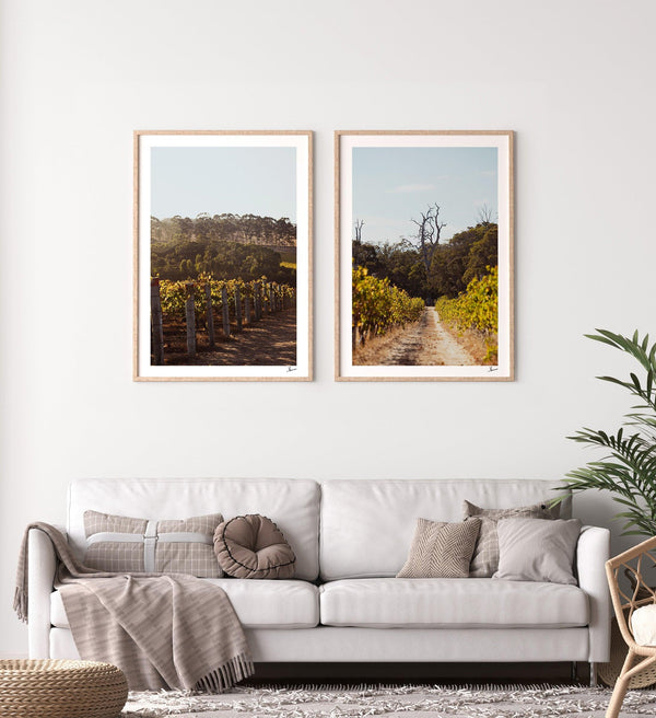 Cape Mentelle Winery 03 - Wall Art Print - Australia Unseen