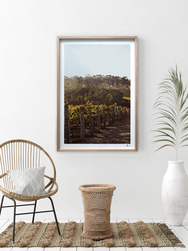 Cape Mentelle Winery 03 - Wall Art Print - Australia Unseen
