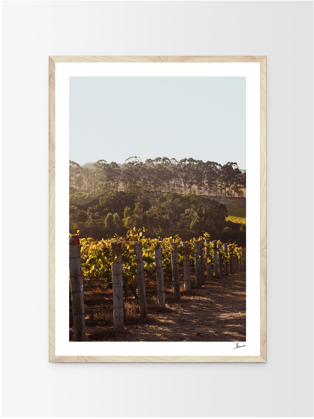 Cape Mentelle Winery 03 - Wall Art Print - Australia Unseen