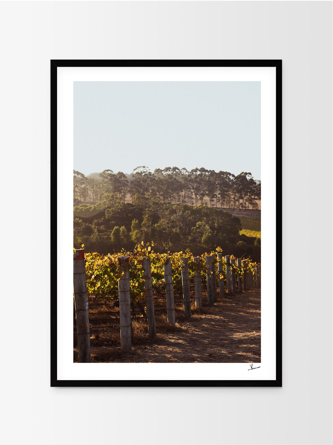 Cape Mentelle Winery 03 - Wall Art Print - Australia Unseen