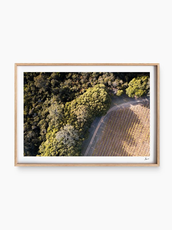 Cape Mentelle Winery 04 - Wall Art Print - Australia Unseen