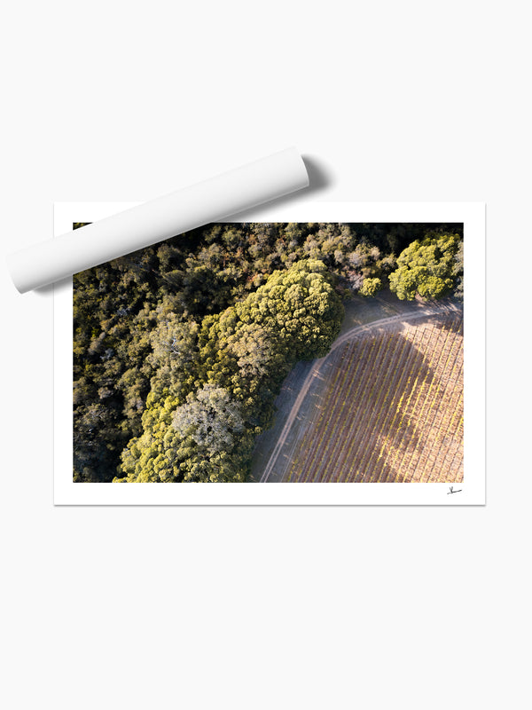 Cape Mentelle Winery 04 - Wall Art Print - Australia Unseen