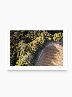 Cape Mentelle Winery 04 - Wall Art Print - Australia Unseen