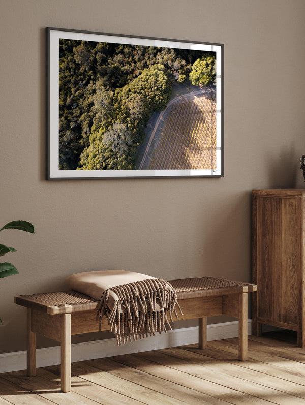Cape Mentelle Winery 04 - Wall Art Print - Australia Unseen
